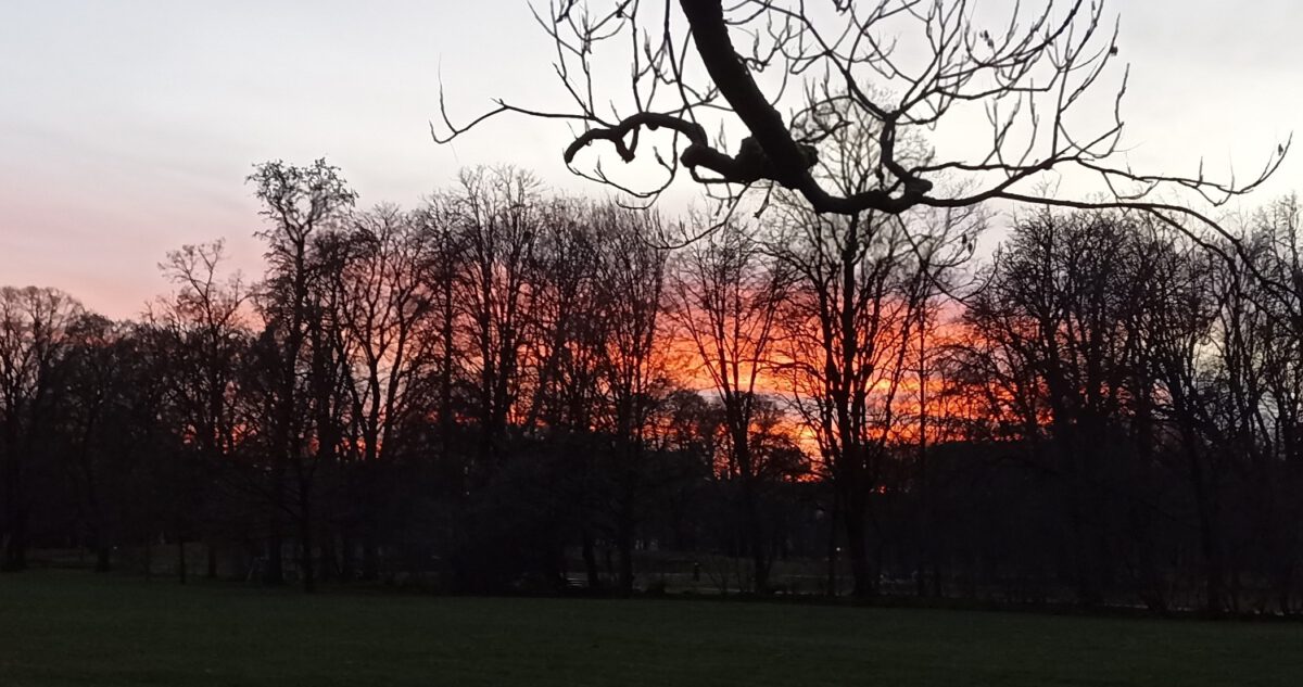 In der abendlichen Stille