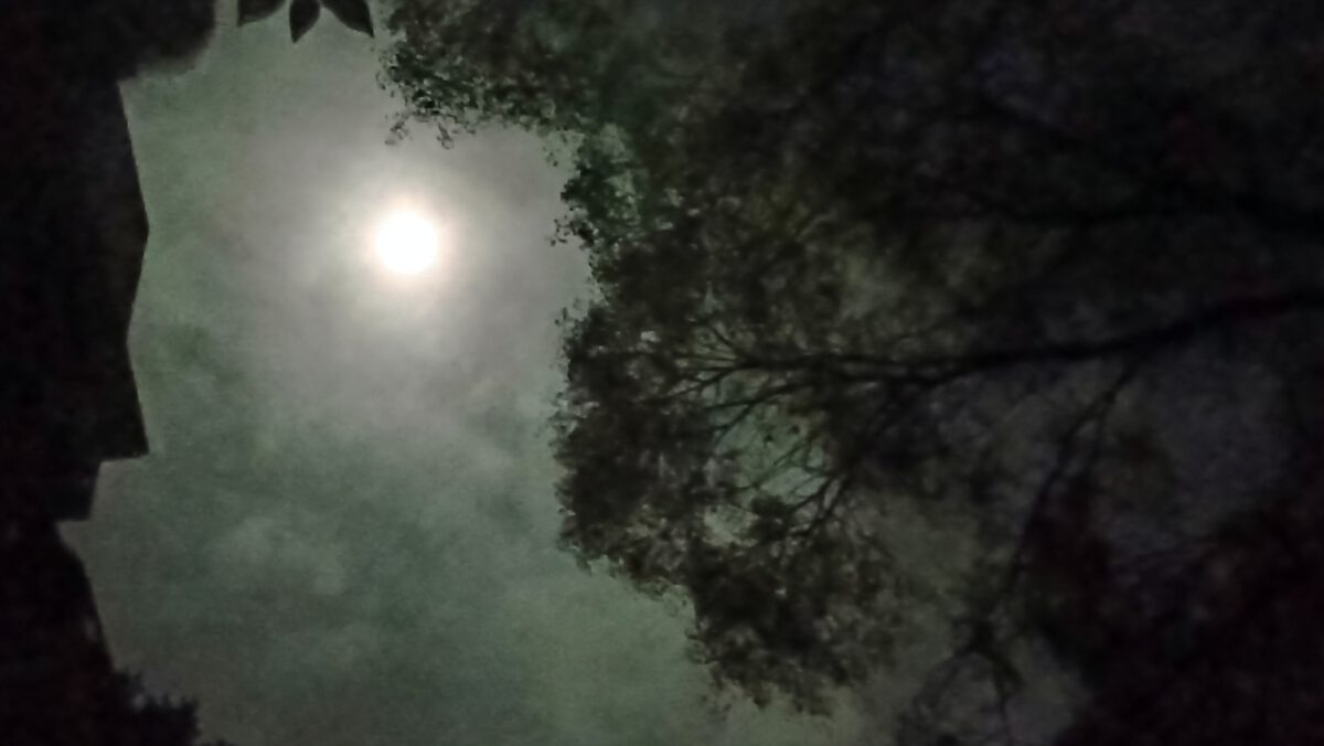 NachtLicht