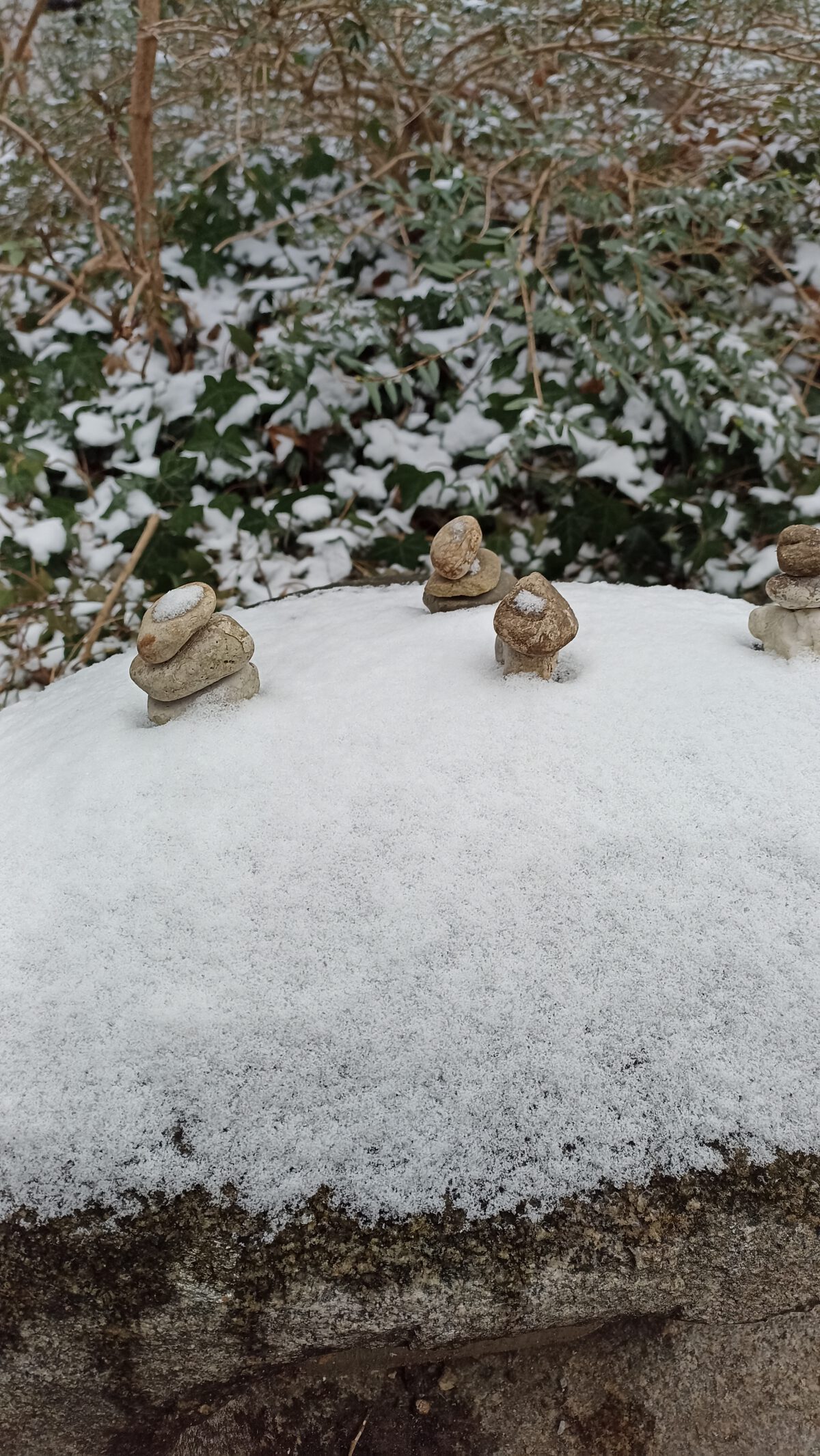 Schneenacht-Flüstern