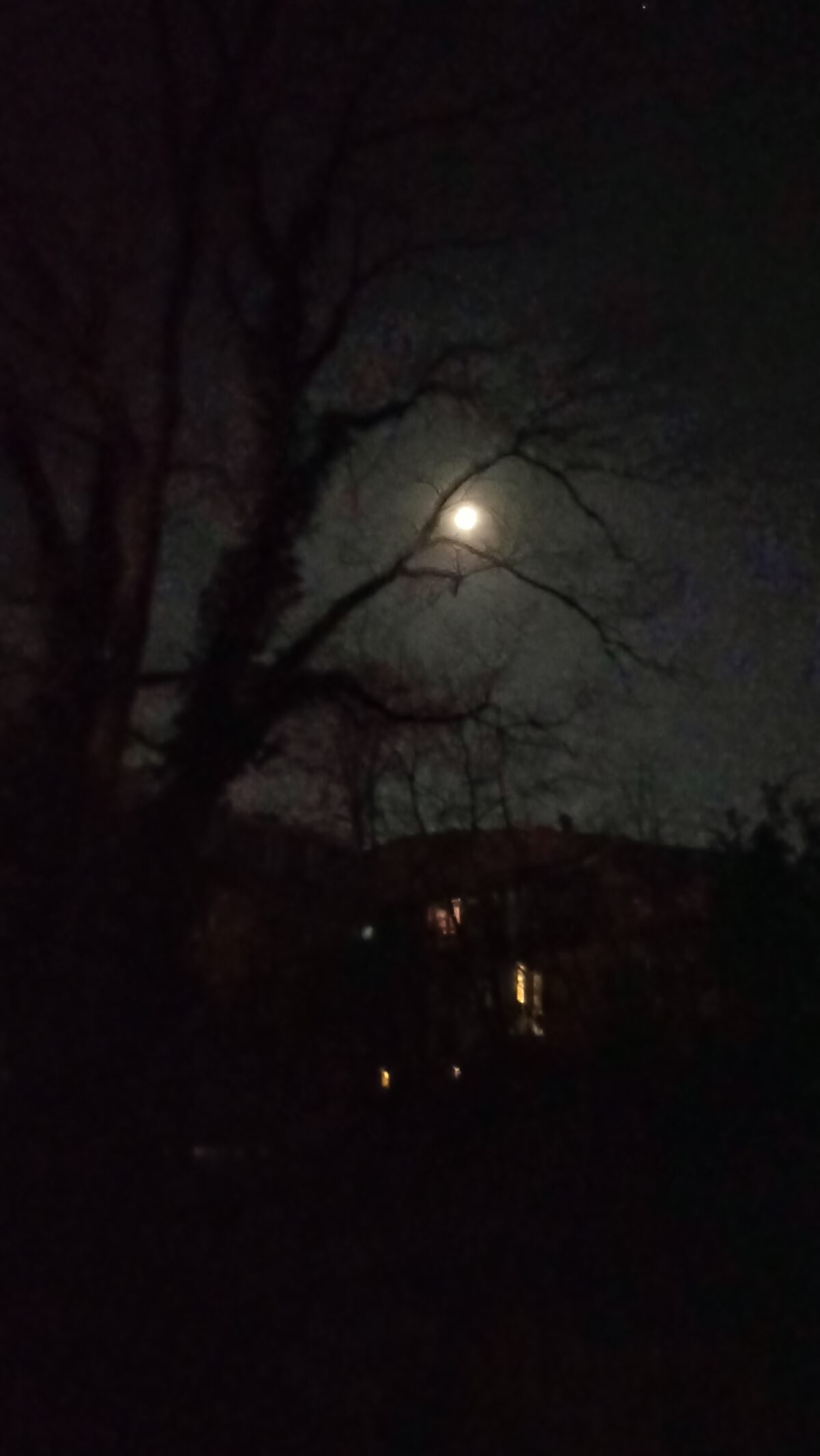 NachtLicht